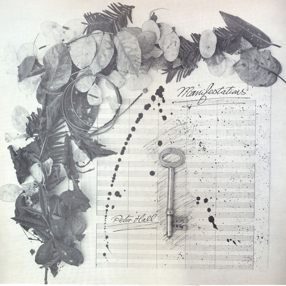 Picture of Manifestations