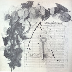 Cover of Manifestations
