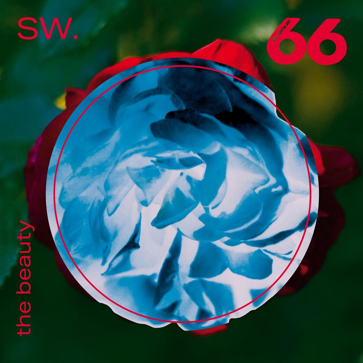 Album cover of the beauty