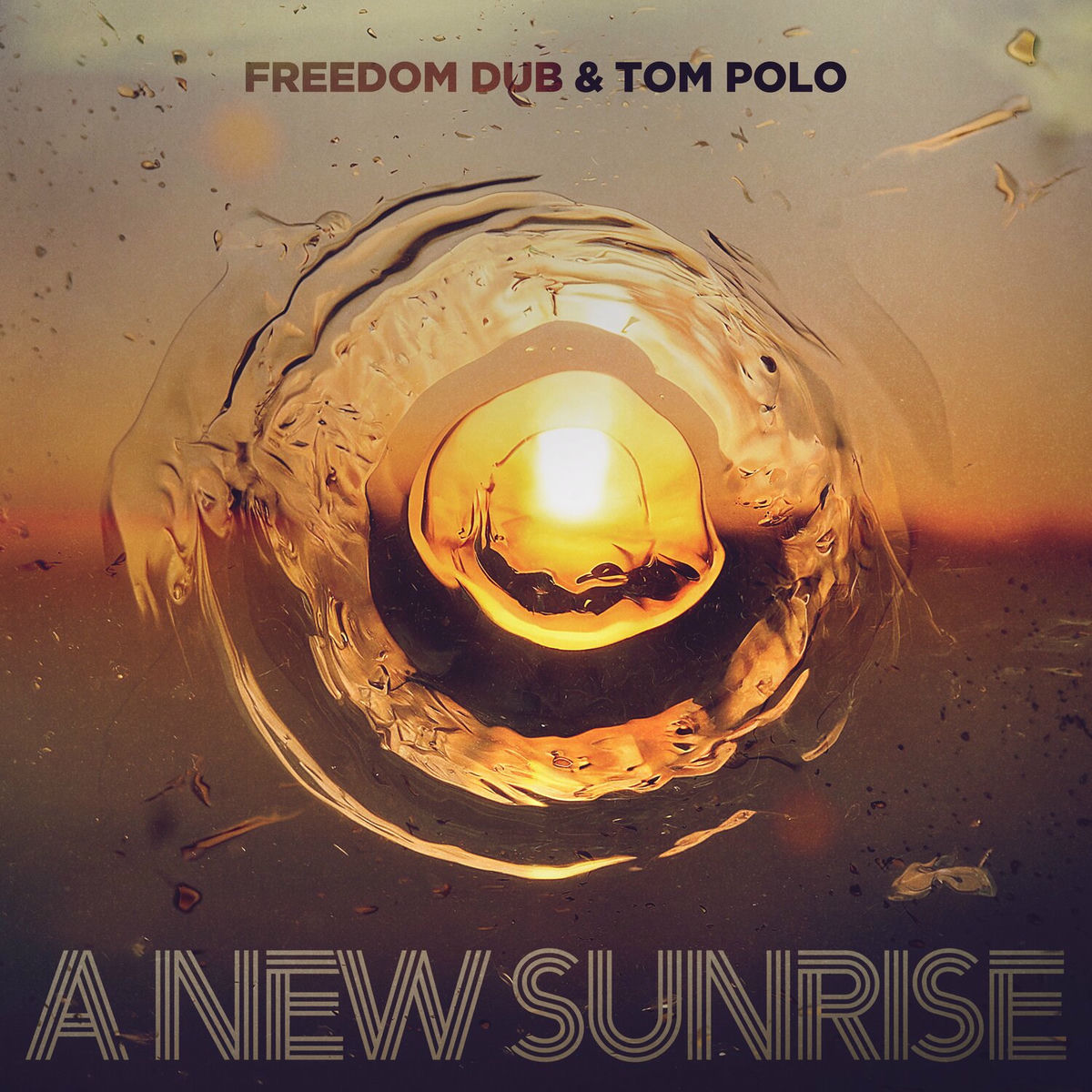 Album cover of A New Sunrise