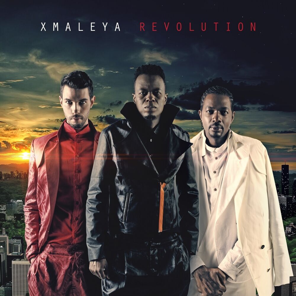 Picture of Revolution