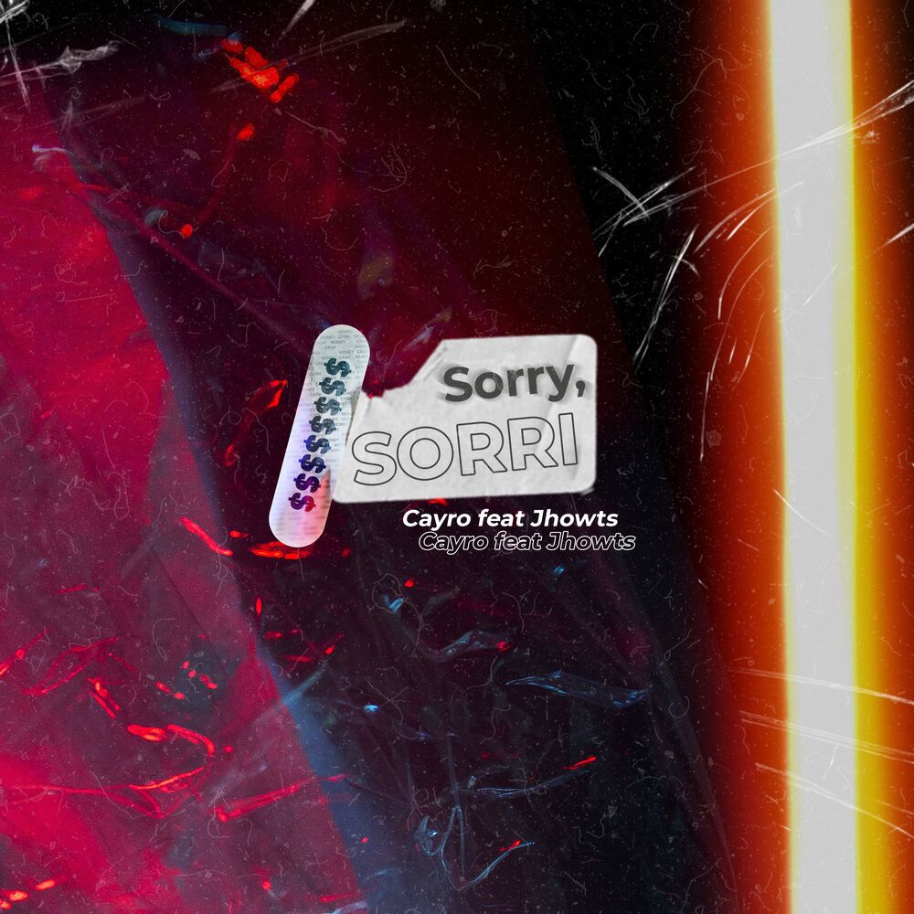 Picture of Sorry, Sorri