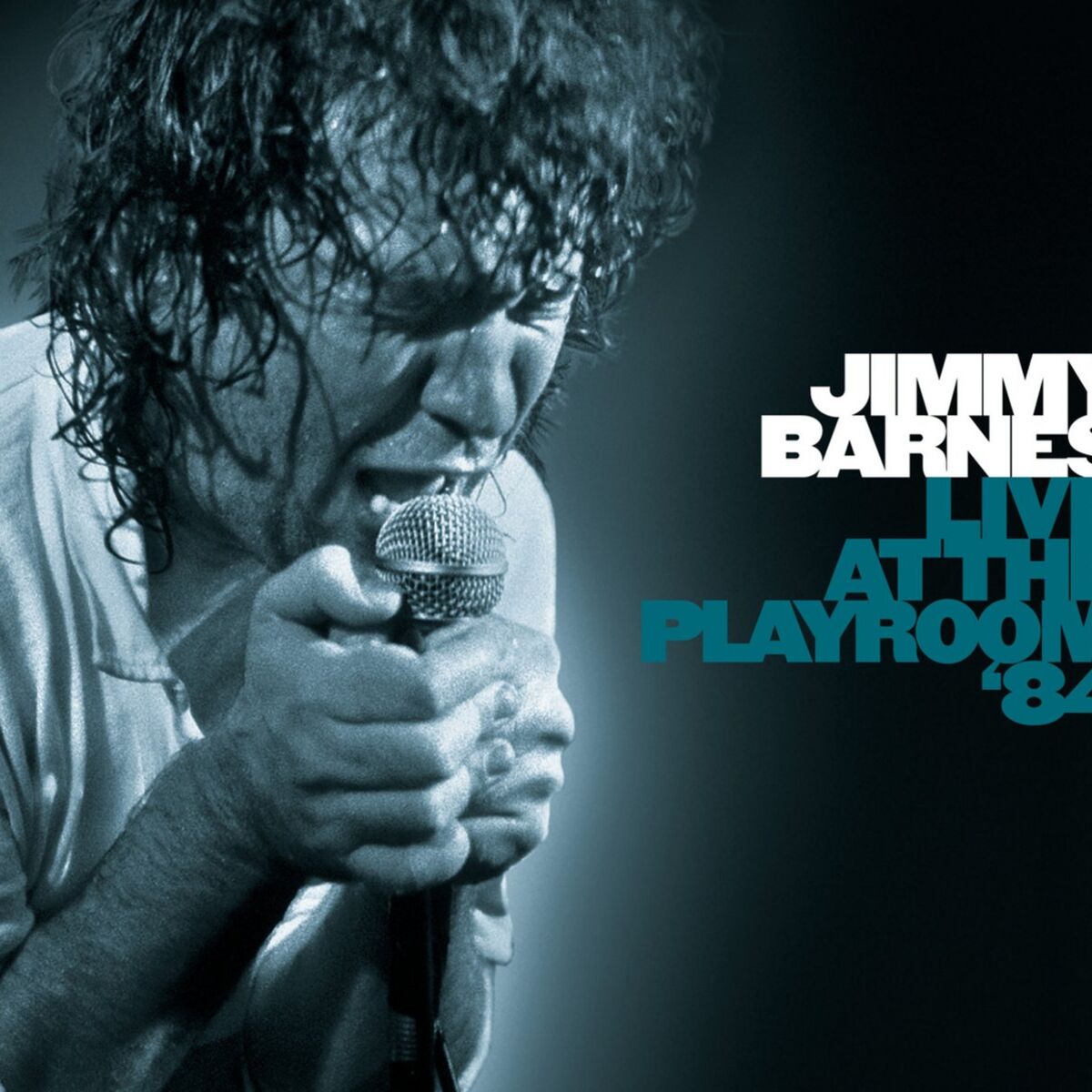 Album cover of Live At The Playroom '84