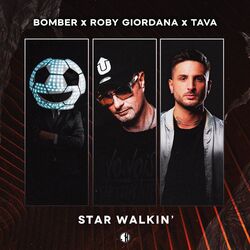Cover of Star Walkin'
