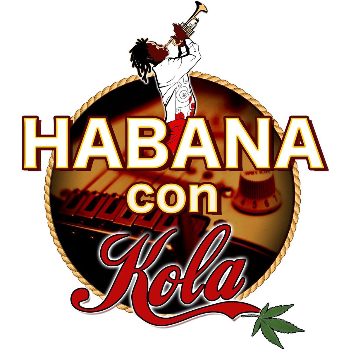 Album cover of Vente Negra
