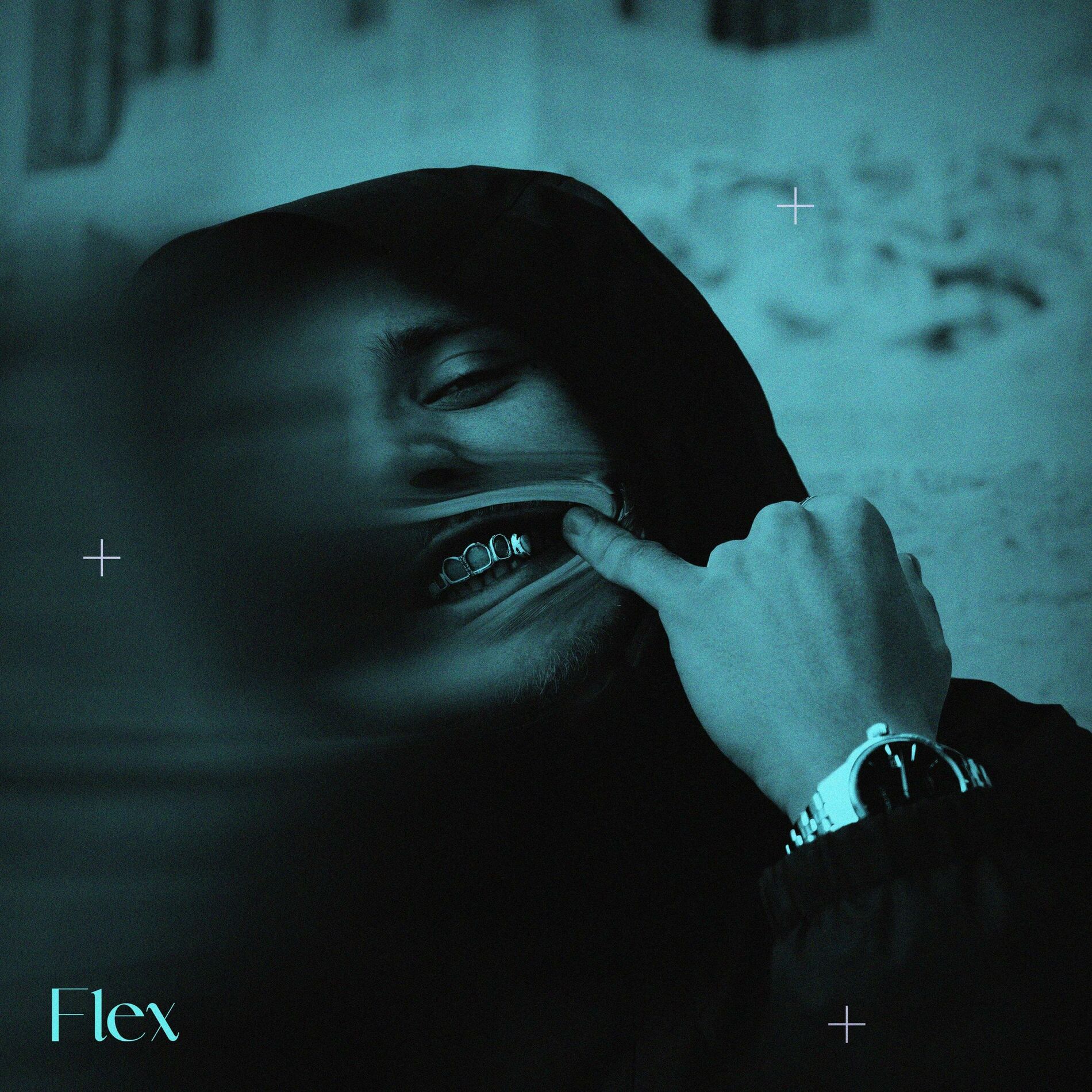 Album cover of Flex