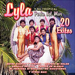 Cover of 20 Éxitos
