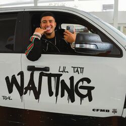 Cover of Waiting