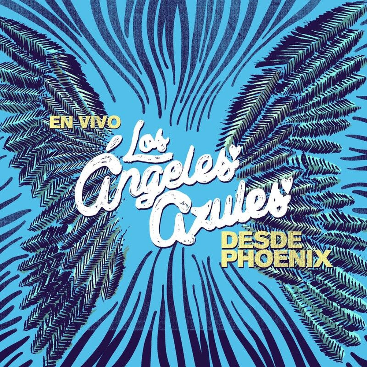 Album cover of En Vivo Desde Phoenix