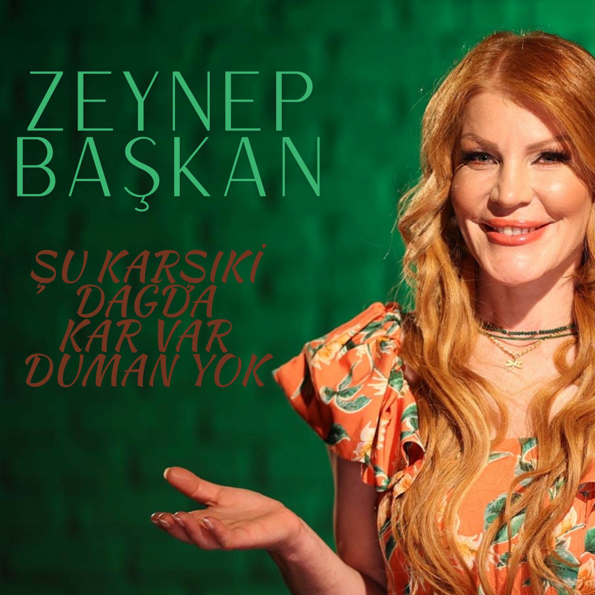 Album cover of Şu Karşıki Dağda Kar Var Duman Yok