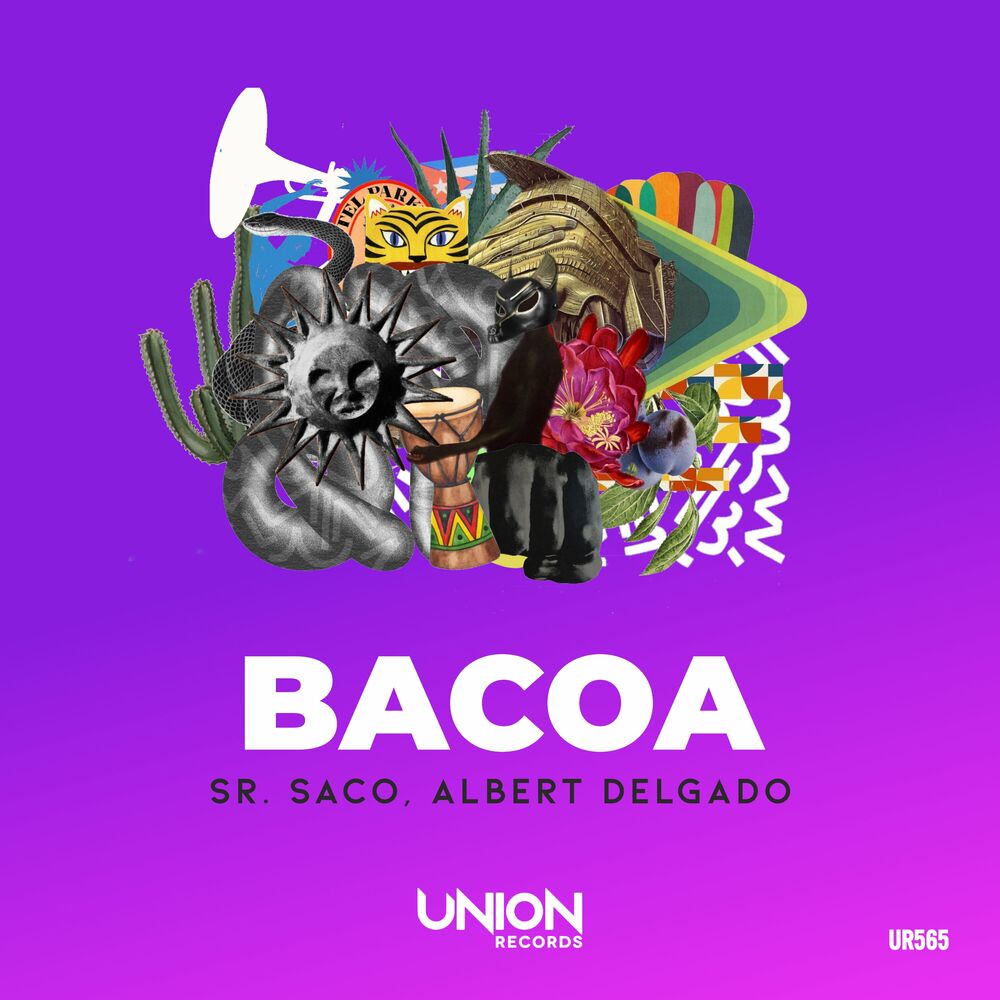 Picture of BACOA