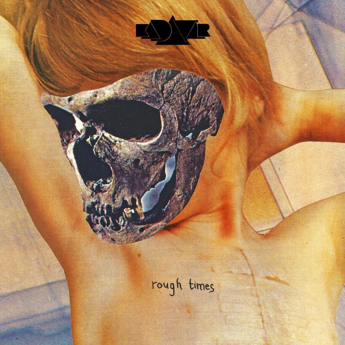 Album cover of Into the Wormhole