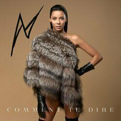 Cover of Comment te dire