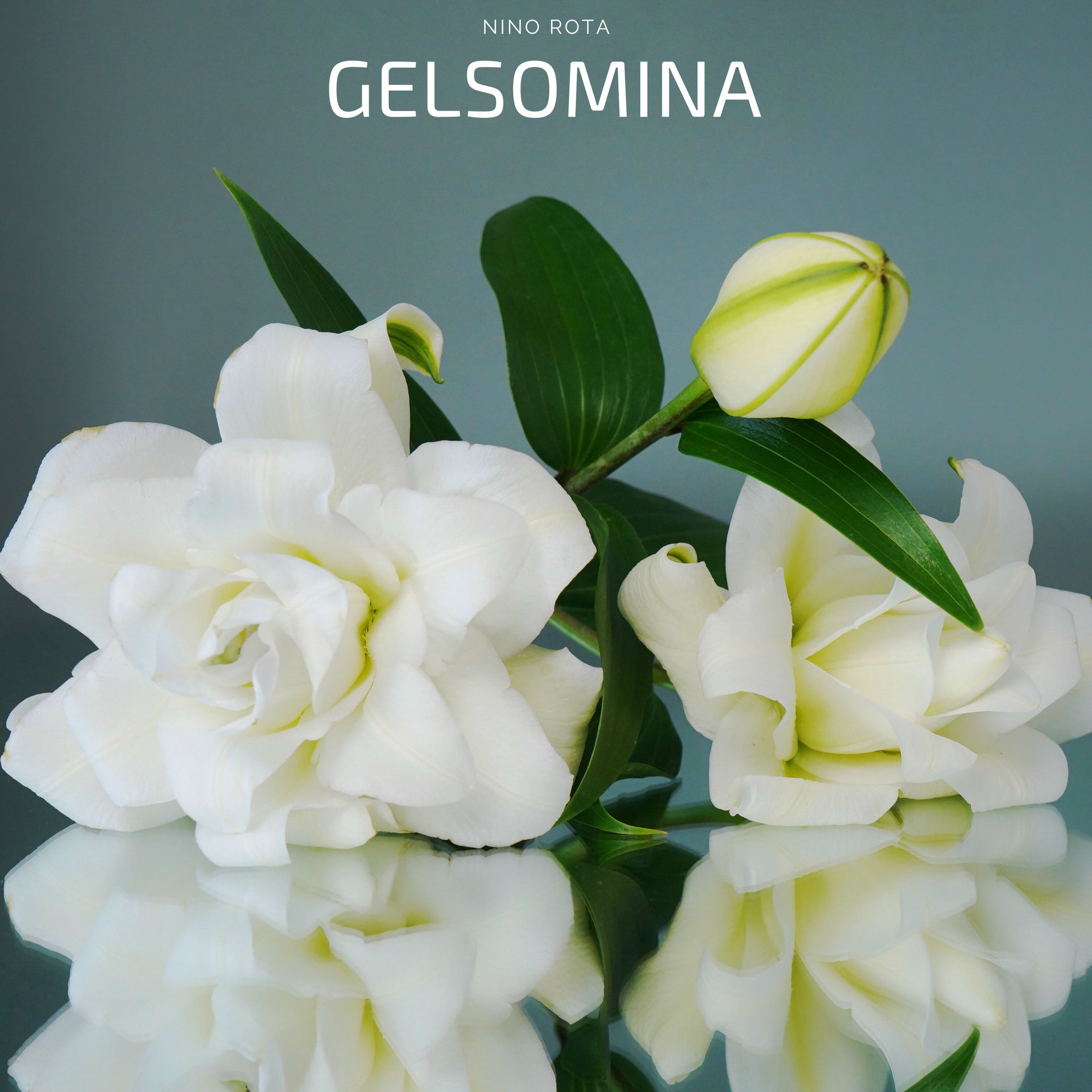 Album cover of Gelsomina