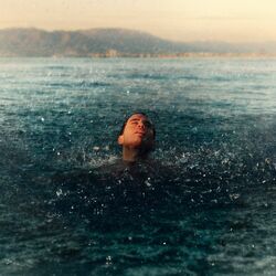 Cover of Vulnerable