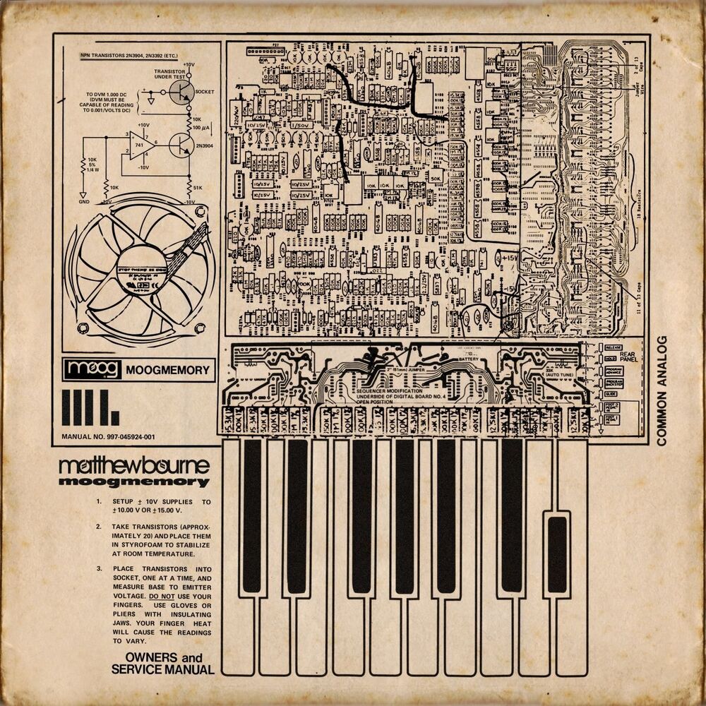 Picture of moogmemory plus