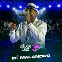 Cover of Zé Malandro (Ao Vivo)