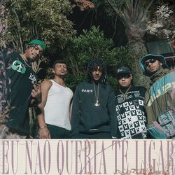 Cover of Eu Não Queria Te Ligar