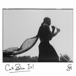 Cover of Can't Believe It