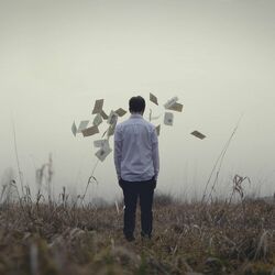 Cover of Lost in a Memory