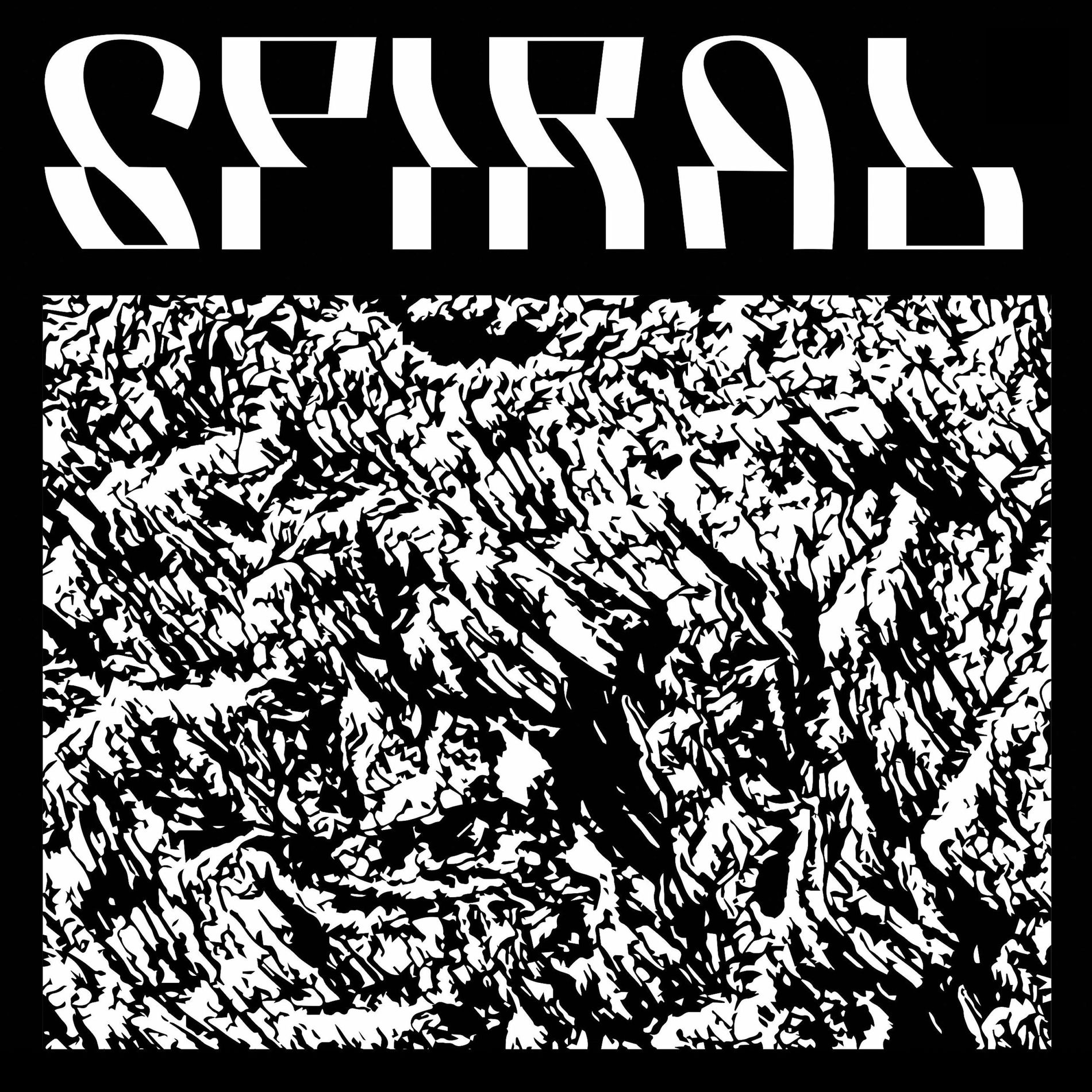 Album cover of N.A.S.A.