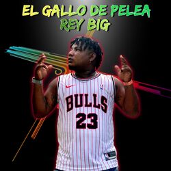Cover of El Gallo de Pelea