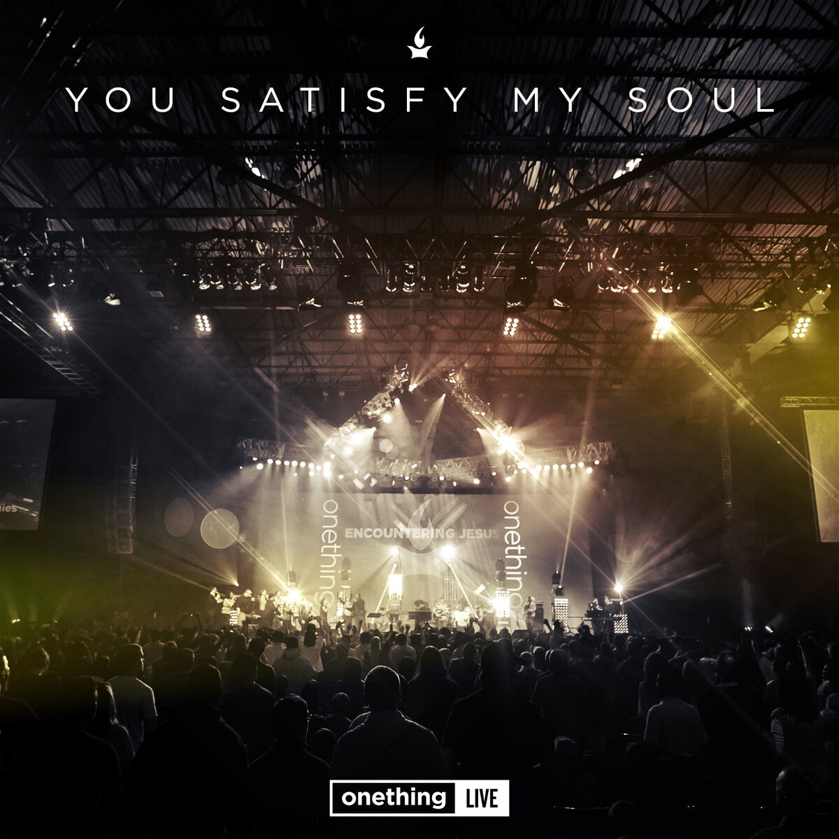 Album cover of Onething Live: You Satisfy My Soul