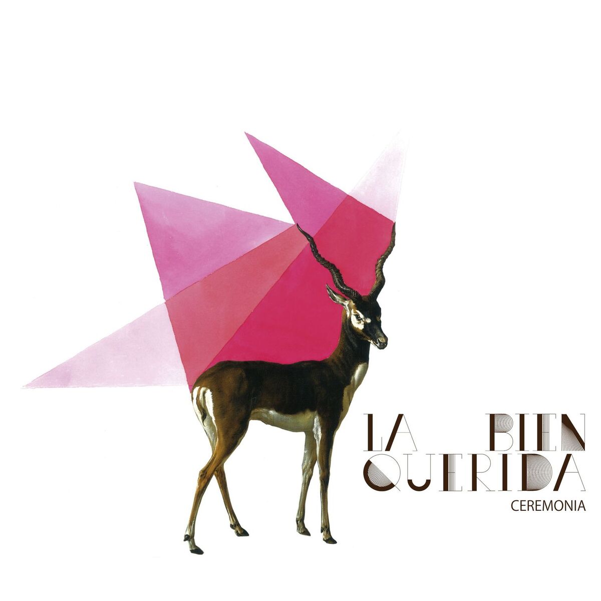 Album cover of A Veces Ni Eso