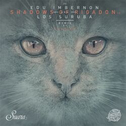 Cover of Shadows of Rigadon