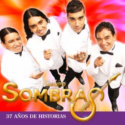 Cover of 37 Años de Historias