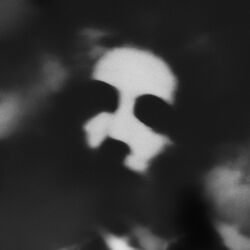 Cover of Salvo