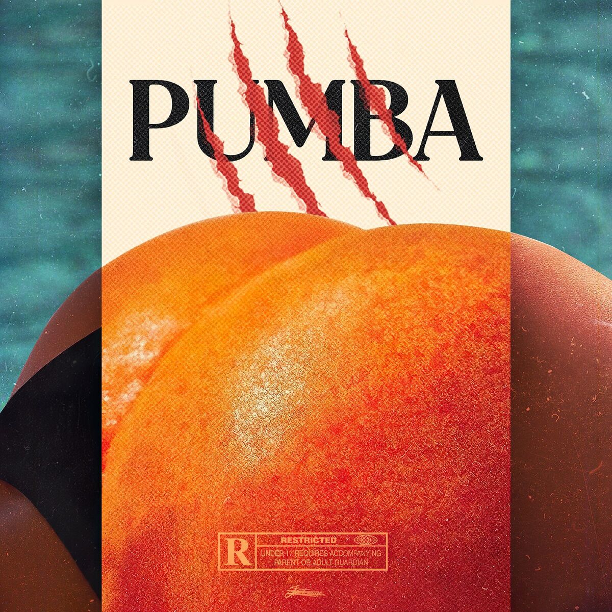 Album cover of PUMBA