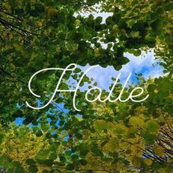 Cover of HALLE