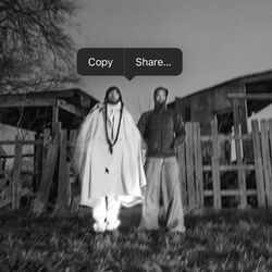 Cover of SCARING THE HOES