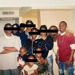 Cover of family ties