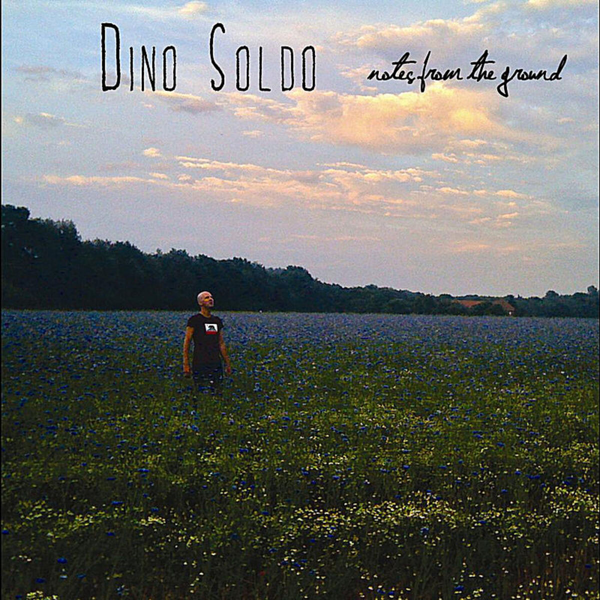 Album cover of Notes from the Ground