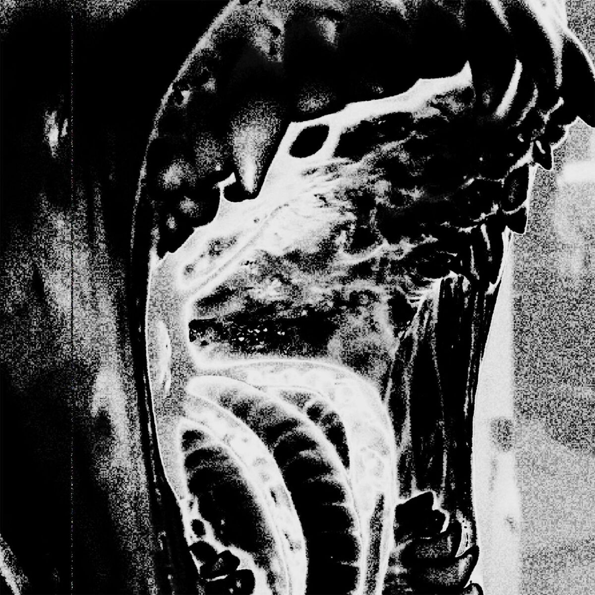 Album cover of EMOTIONAL DEMONS