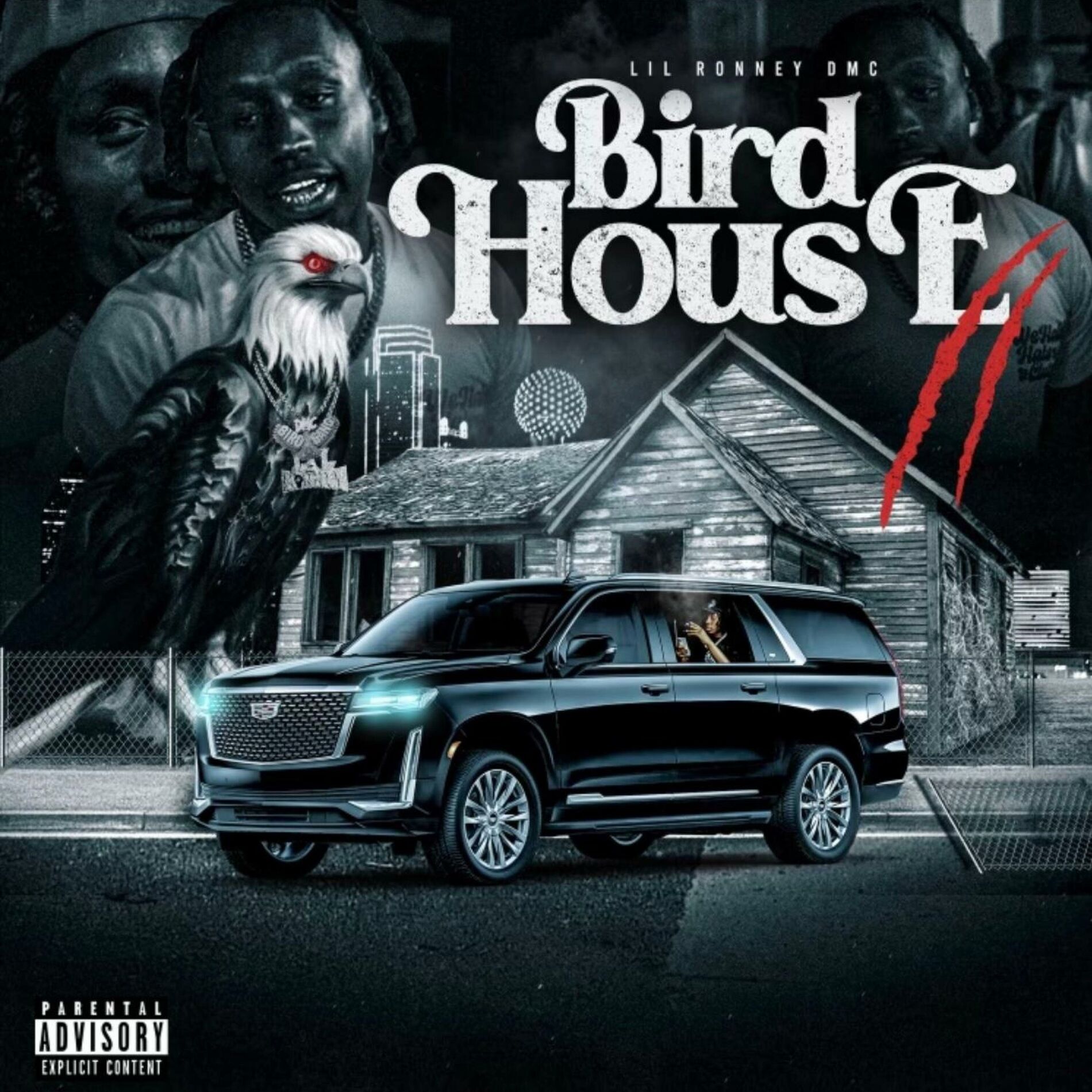 Album cover of Bird House 2