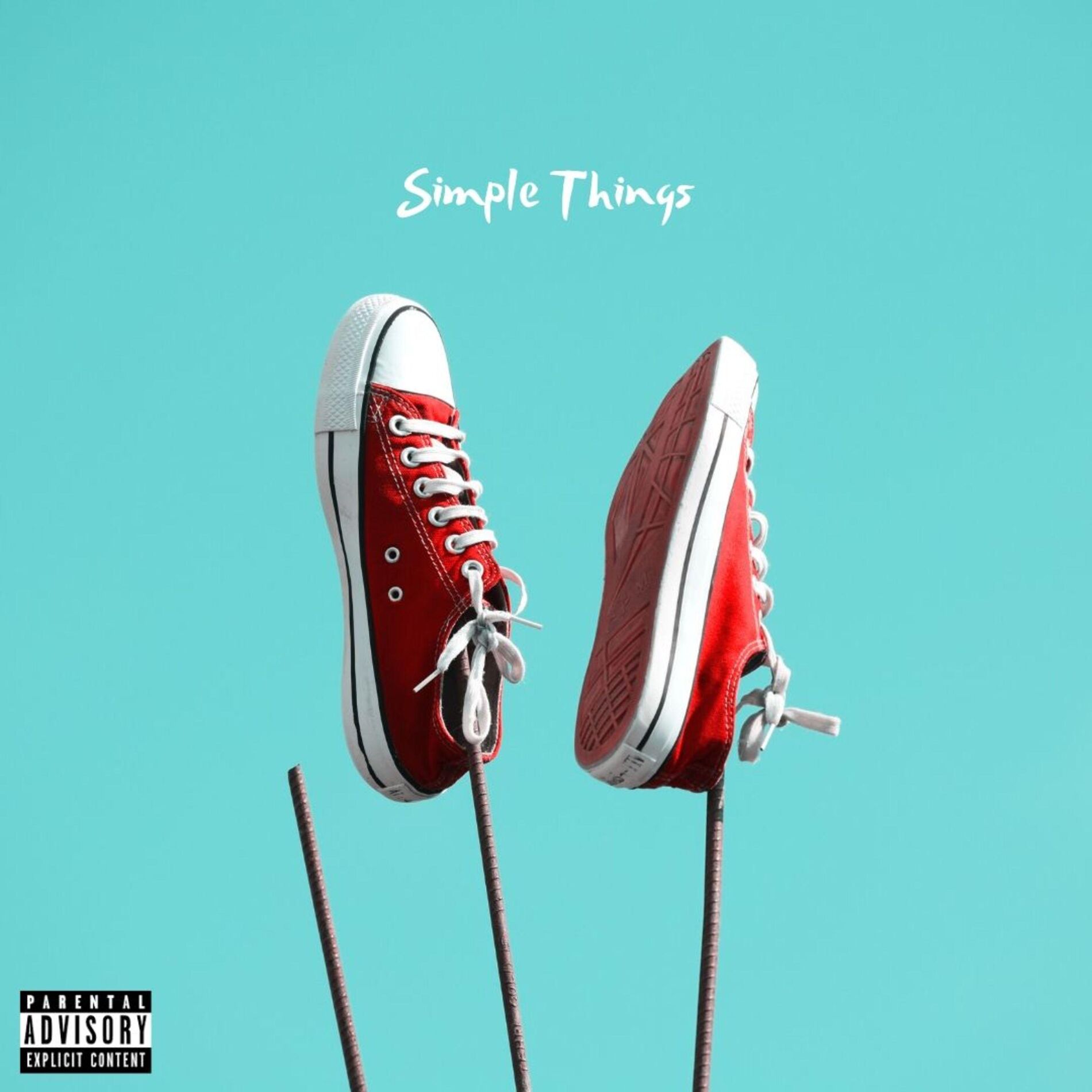 Album cover of Simple Things (feat. Mike Stud)