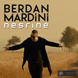 music cover