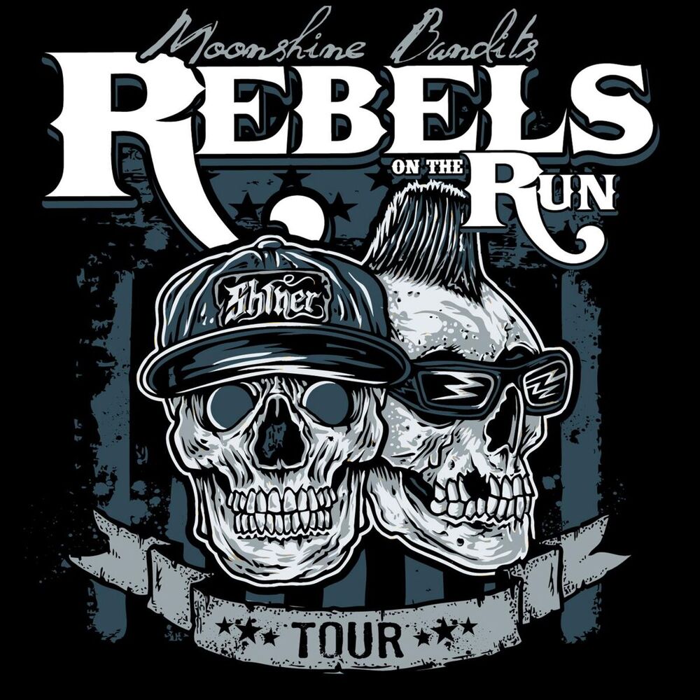 Picture of Rebels on the Run