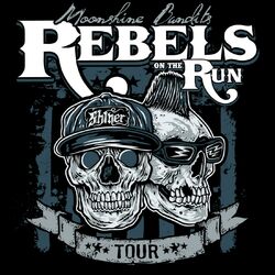 Cover of Rebels on the Run