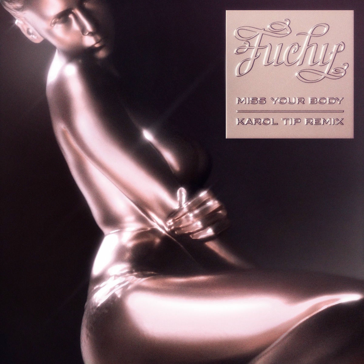 Album cover of Miss Your Body (Karol Tip Remix)