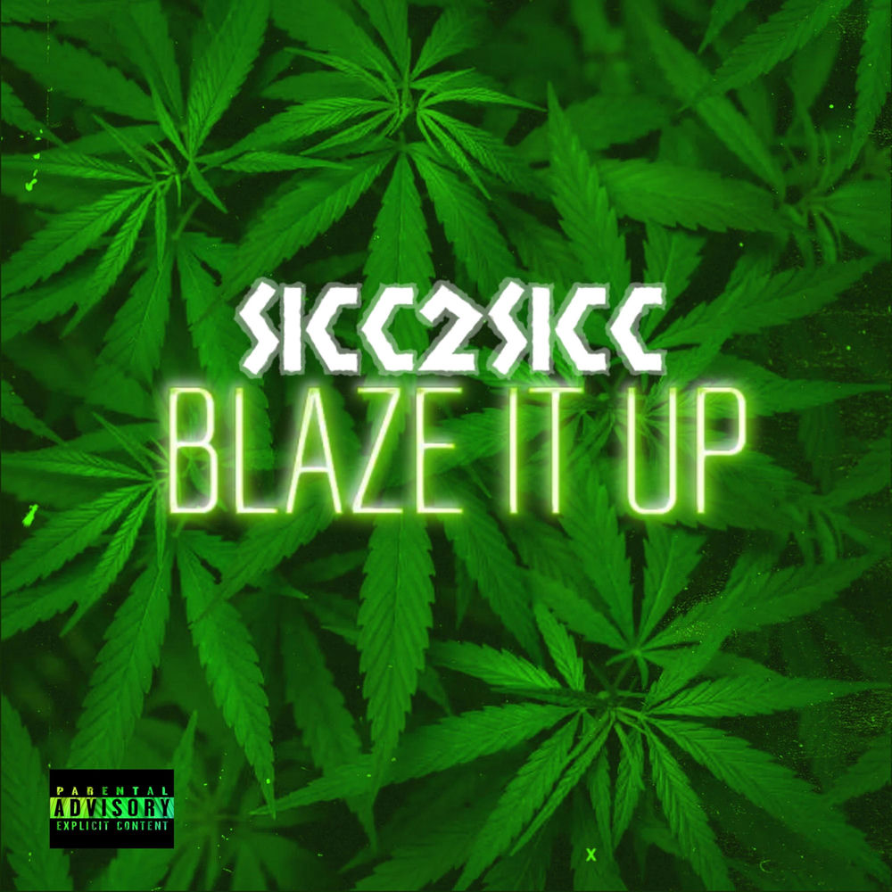 Album artwork for Blaze It Up by VICE