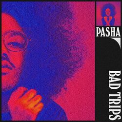 Cover of Bad Trips