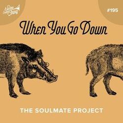 Cover of When You Go Down