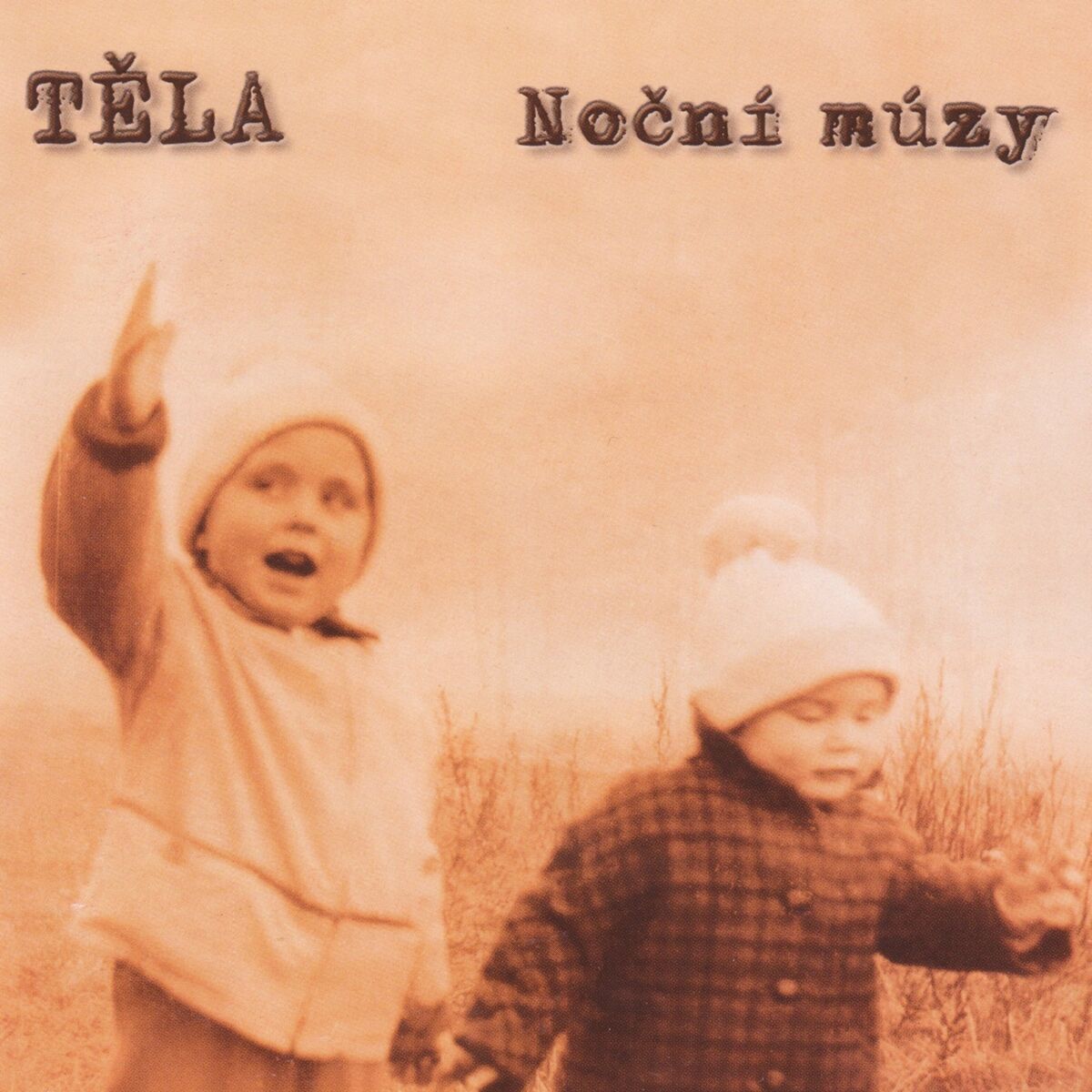 Album cover of Noční Múzy
