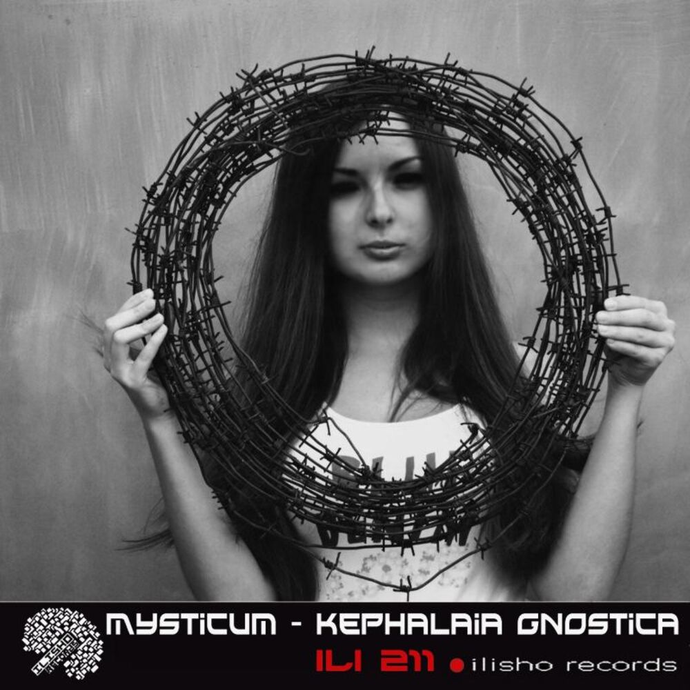 Picture of Kephalaia Gnostica