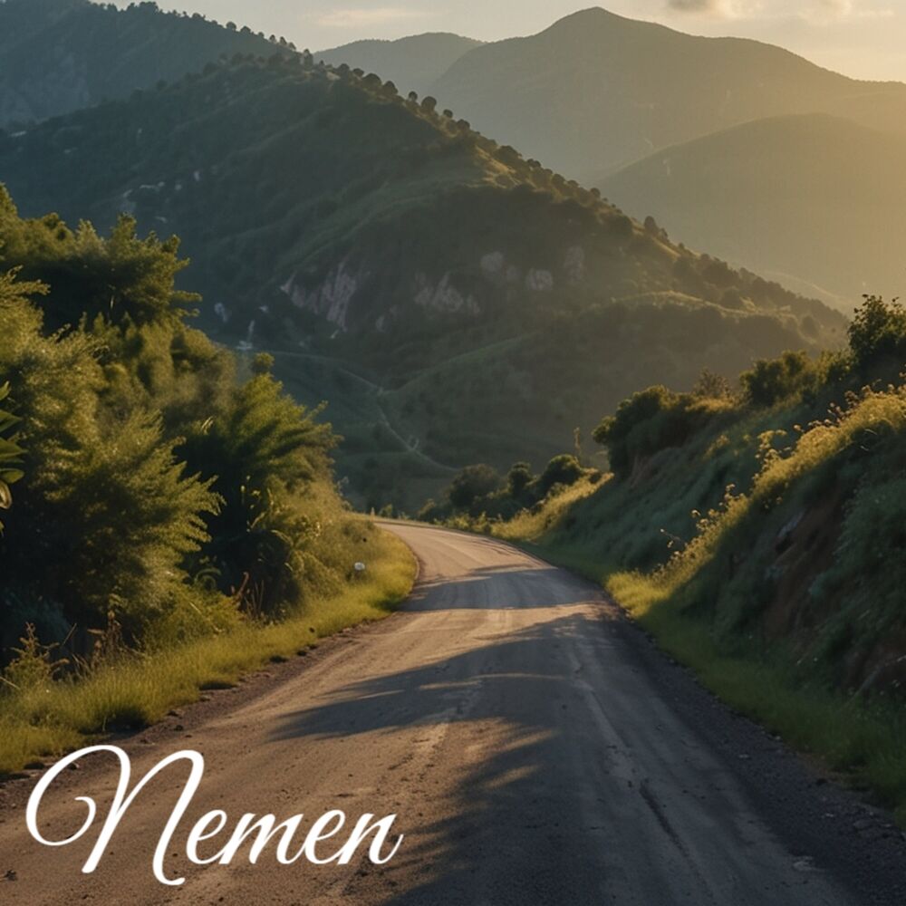 Picture of Nemen NDX Version