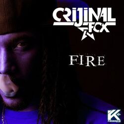 Cover of Fire